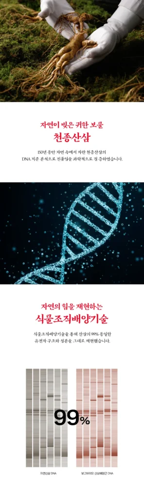 산삼비책진 더 블랙 Wild Ginseng the Black