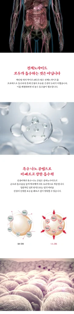 산삼비책진 더 블랙 Wild Ginseng the Black